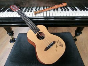 Instrumentensafari